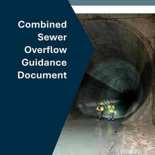 Moonshot Missions Releases Combined Sewer Overflow Guidance Document