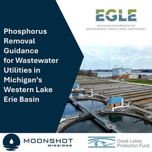Moonshot Releases Phosphorus Removal Guidance Document