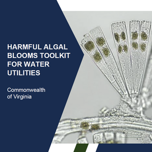 Harmful Algal Blooms Toolkit For Water Utilities